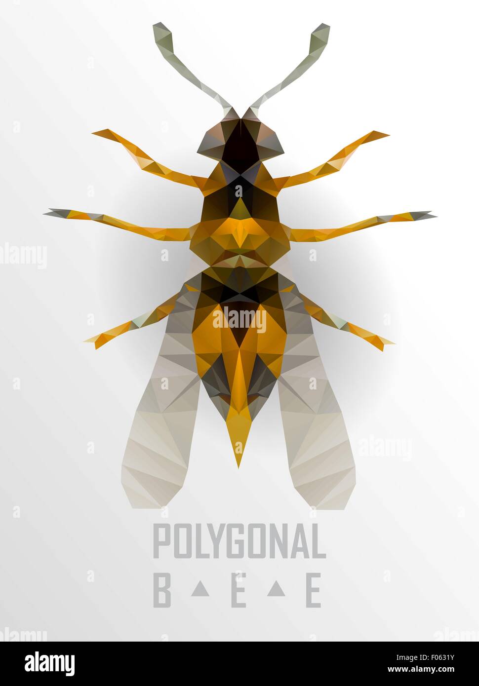 bee isolated on the white Stock Vector Image & Art - Alamy