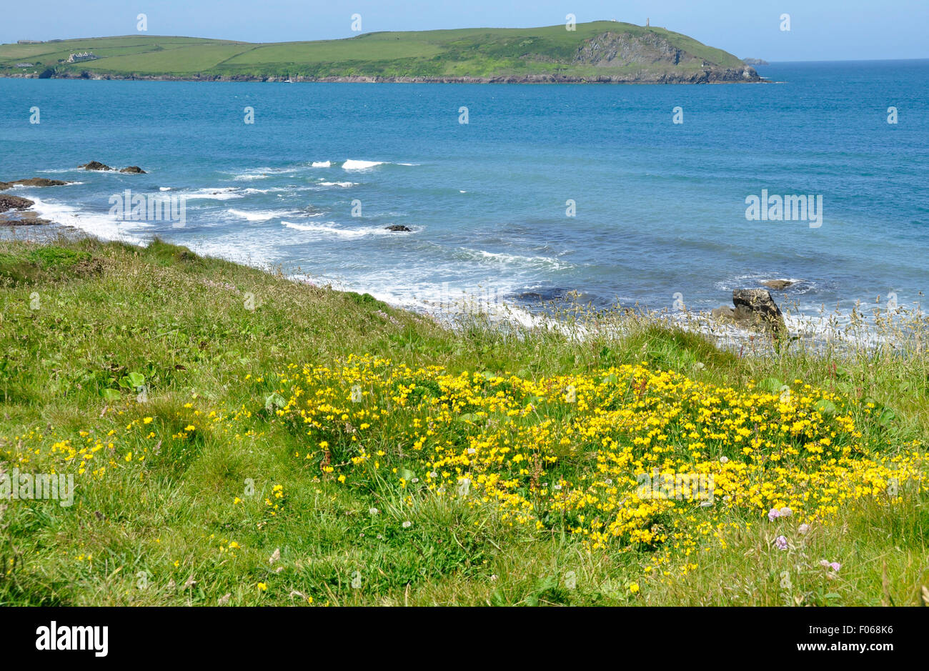 North Cornwall - coast path - view over cliff top wild flowers across Camel Estuary to Stepper Point - bright sunshine blue sky Stock Photo