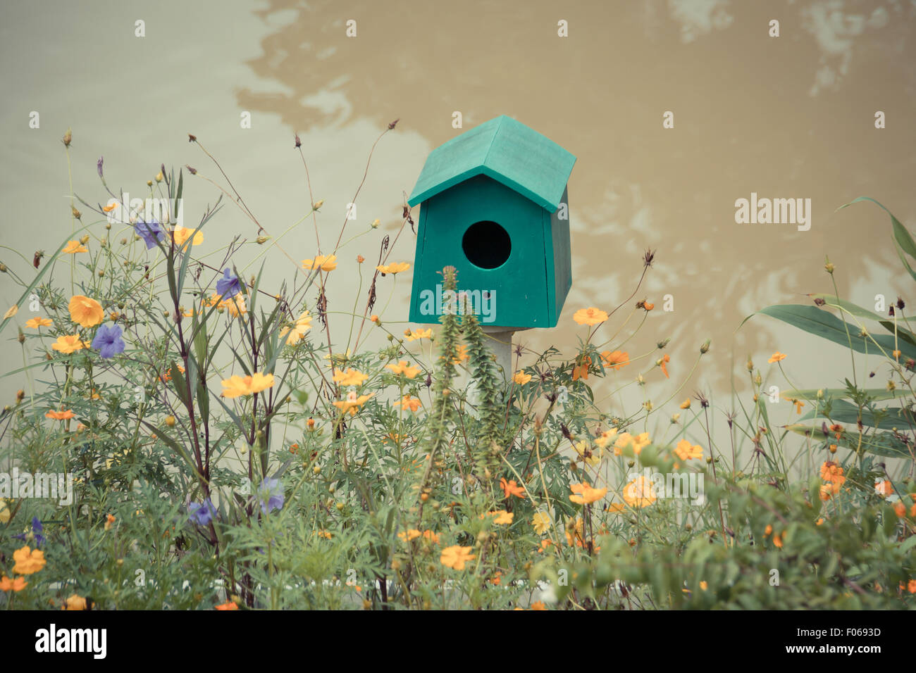 Wooden house beside river green hi-res stock photography and images - Alamy