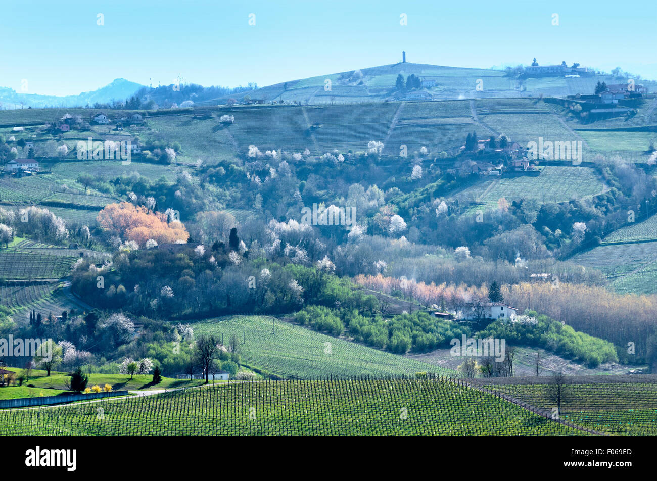 Monferrato, Piedmont,Italy: spring landscape near San Marzano Oliveto Stock Photo