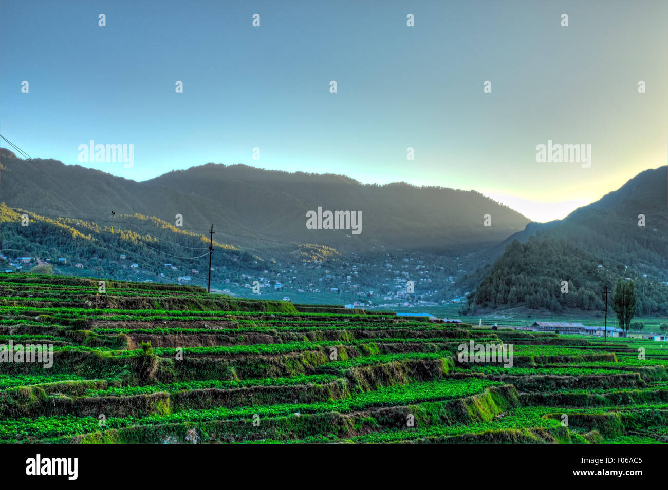 terraced farmland landscape in Nepal Stock Photo