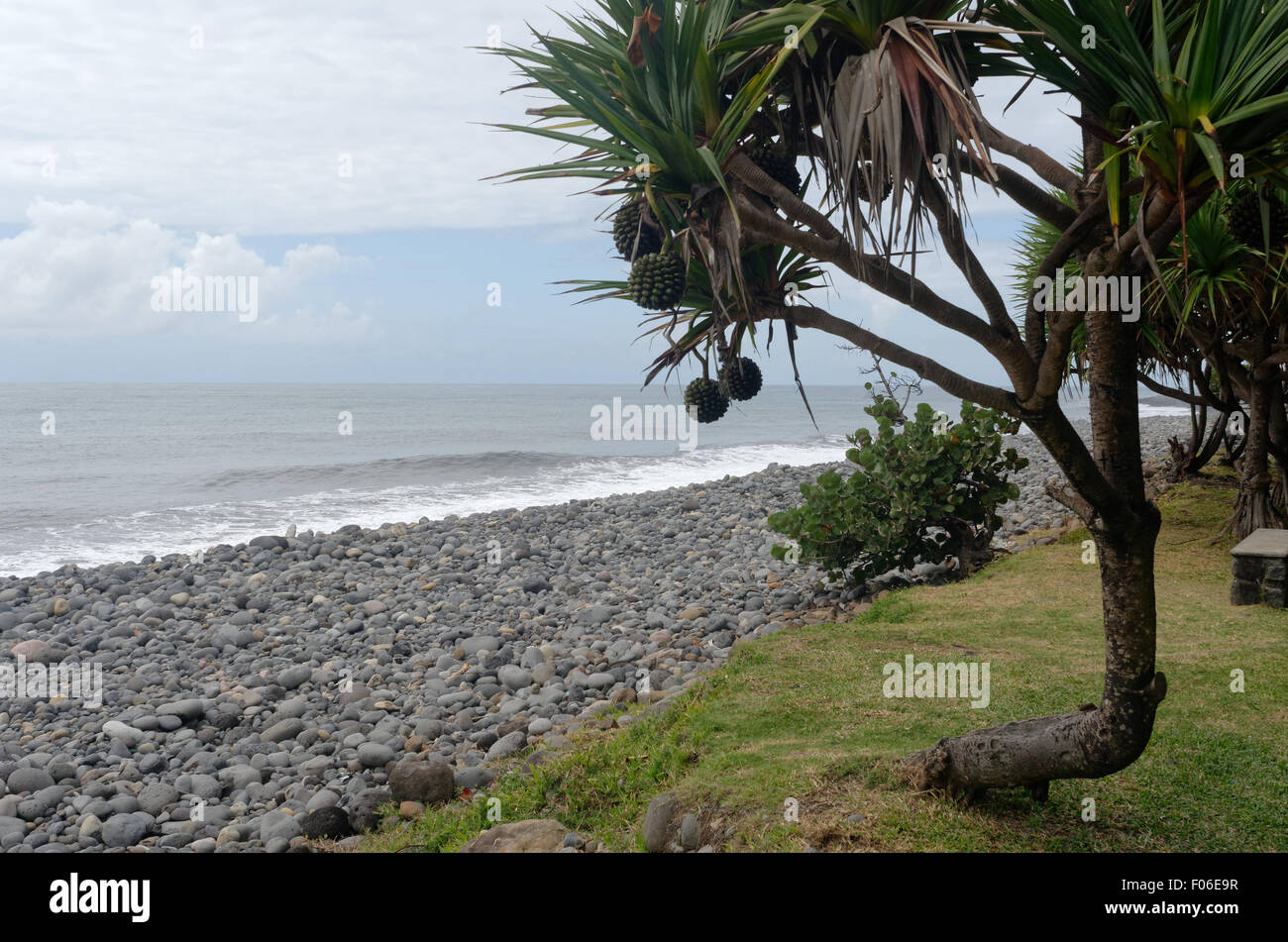 Aug. 8, 2015 - Sainte-AndrÃ, Reunion island, France - This is the shoreline of Saint-André, east coast of Reunion island, where the flight MH370 flaperon debris was found on july 29, 2015 © Valerie Koch/ZUMA Wire/Alamy Live News Stock Photo