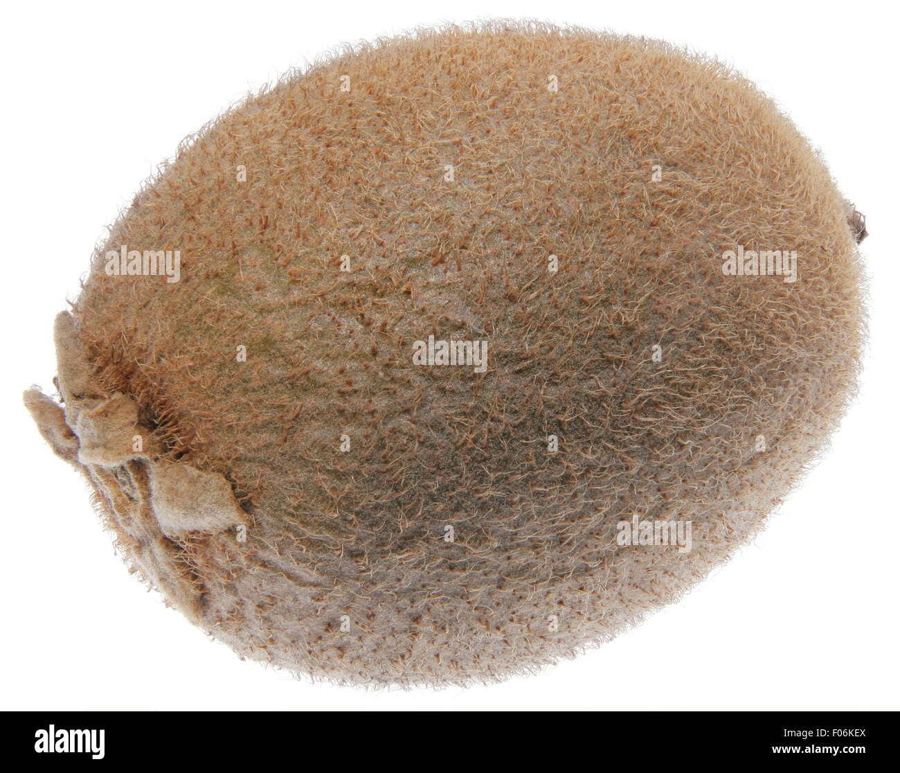 Full focus of kiwi fruit isolated on white background Stock Photo