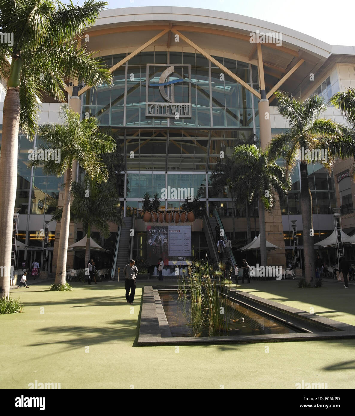 Sunny portrait palm trees, artificial grass and ornamental pond, Palm