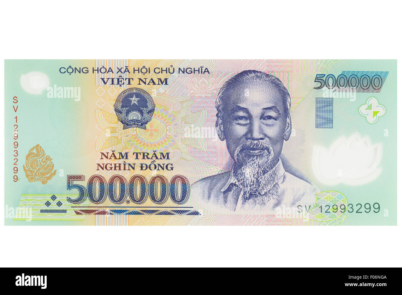 What does Vietnamese money look like?