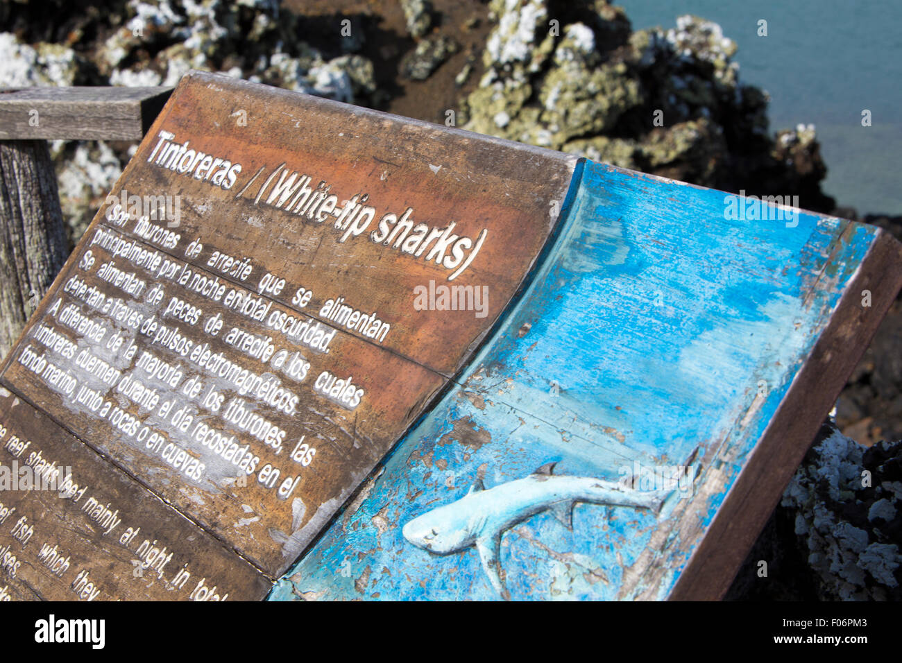 Close up of information board about the white-tip sharks. Galapagos Islands Stock Photo