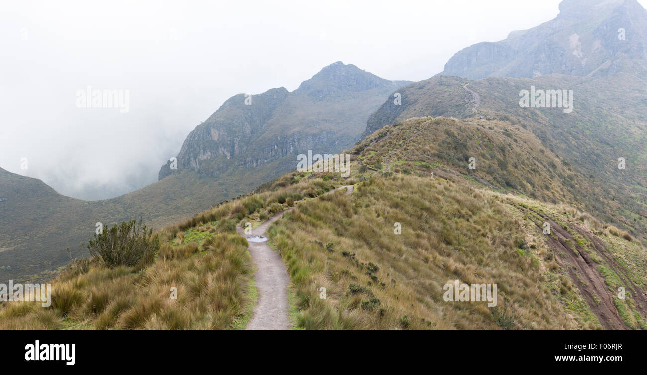 Mountain landscape on the way to the Pichincha volcano. Amazing wildlife and flora of the Andean highlands, at 4000 meters above Stock Photo