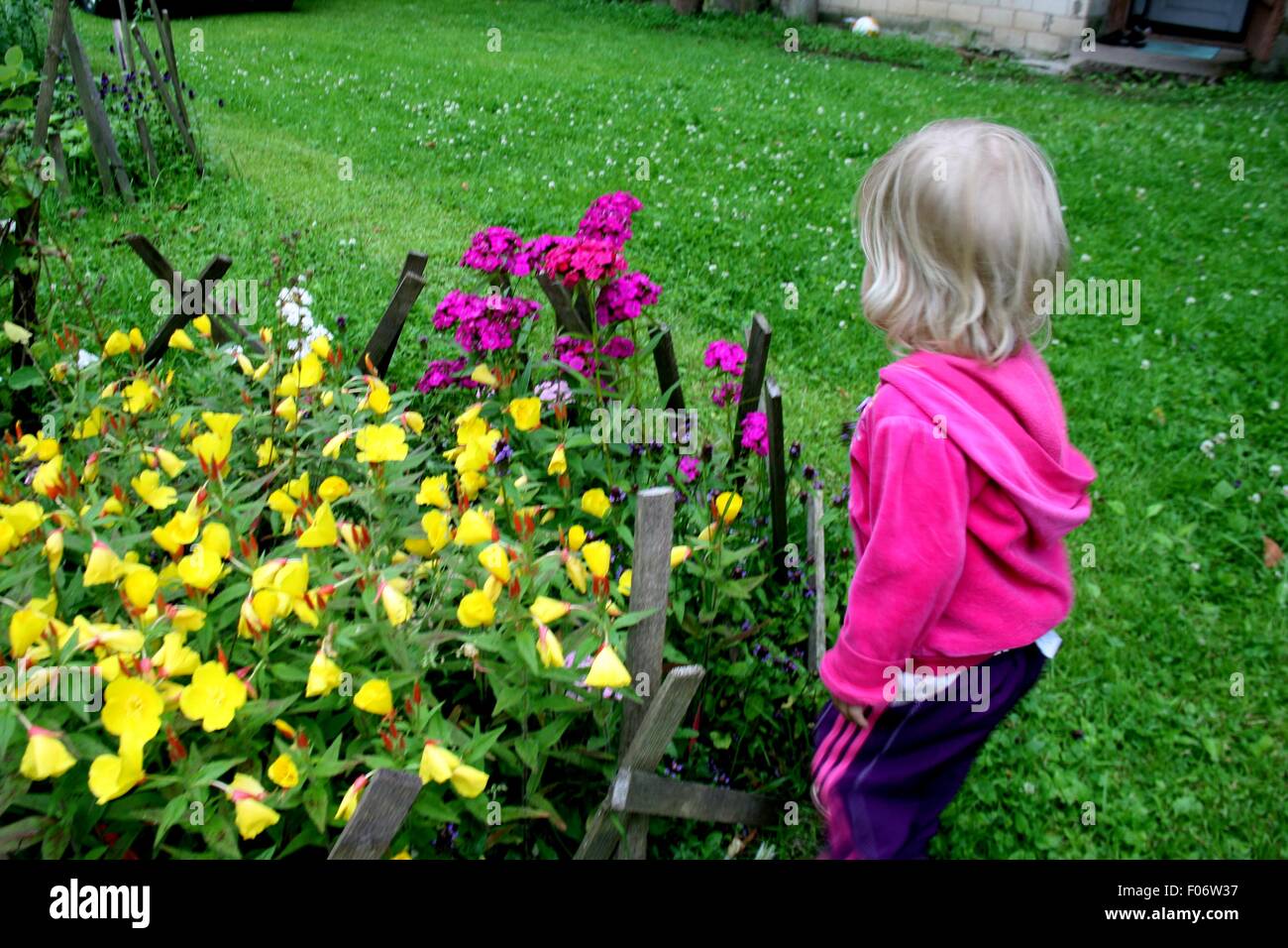 Child smelling summer flowers Stock Photo