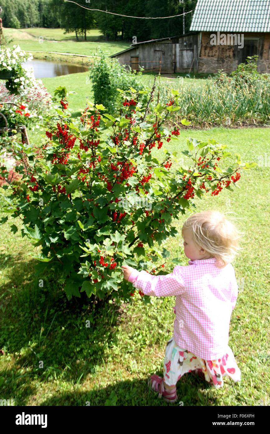 Girl eating berries Stock Photo