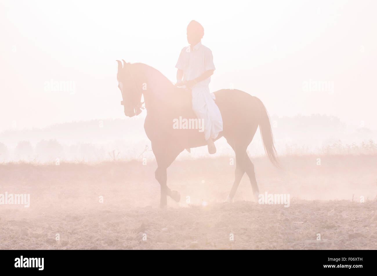 Indian man and horse hires stock photography and images Alamy