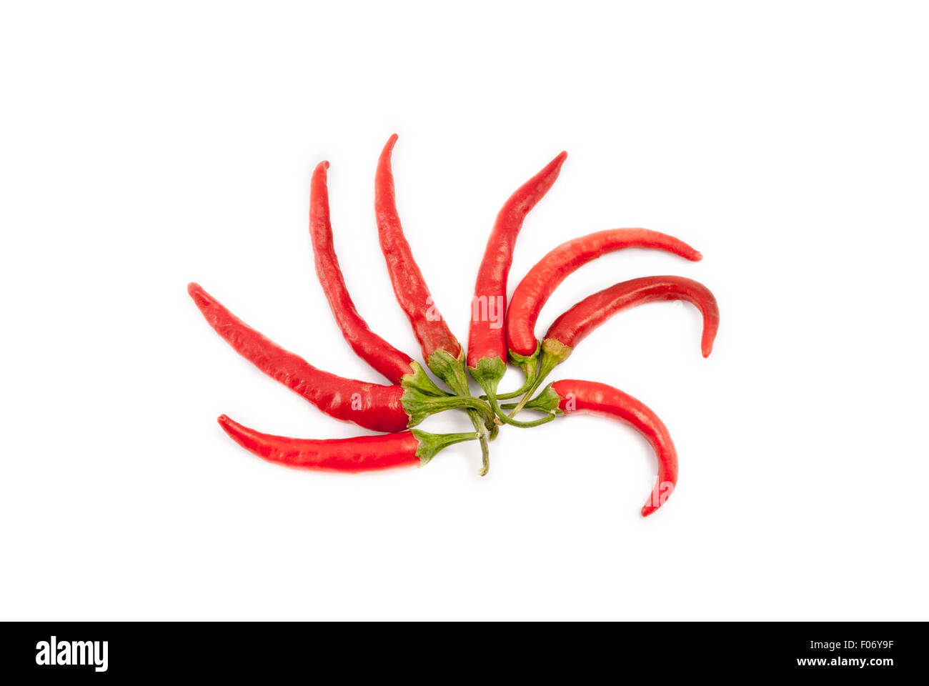 Red chili peppers isolated on white background Stock Photo - Alamy