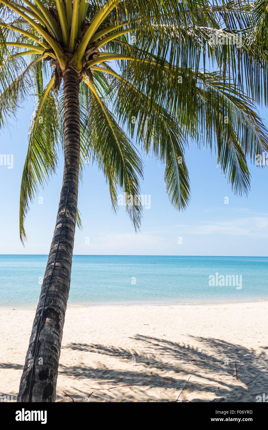 White sand beach in Koh Chang, a popular island on the gulf of Thailand