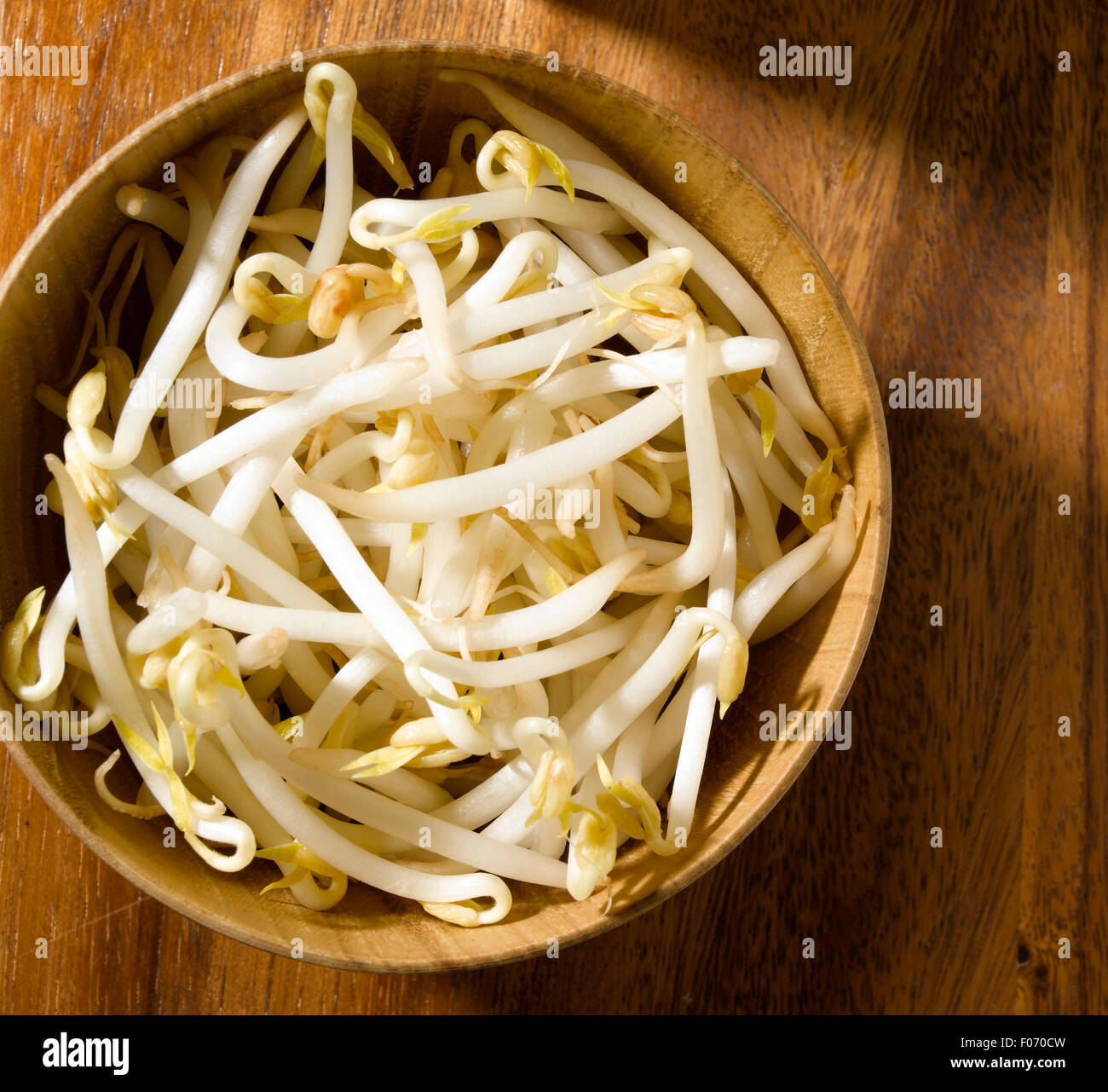 bean sprouts in bowl Stock Photo