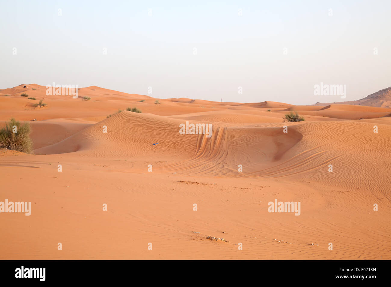 Red sand 'Arabian desert' near Dubai, United Arab Emirates Stock Photo