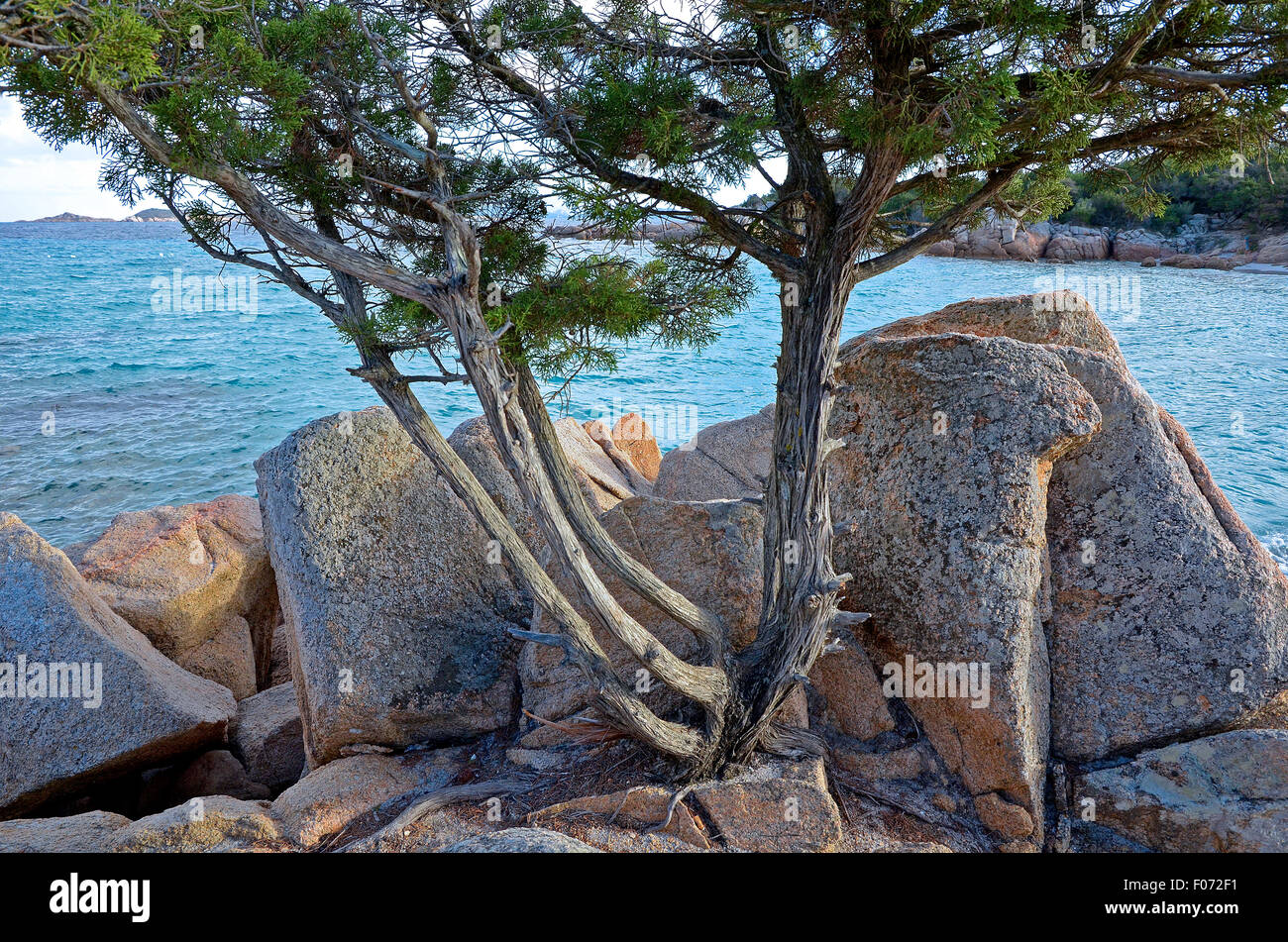 Costa Smeralda,Sardinia,Italy: the sea of Capriccioli. Stock Photo