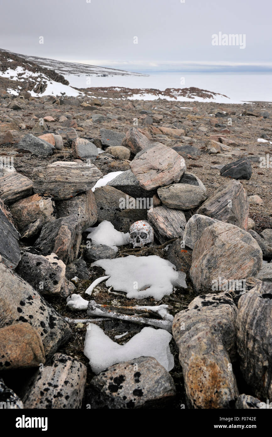 Local ancient graves with remains, skull and bones, Bylot Island, Nunavut, Canada, Sirmilik N.P. Stock Photo