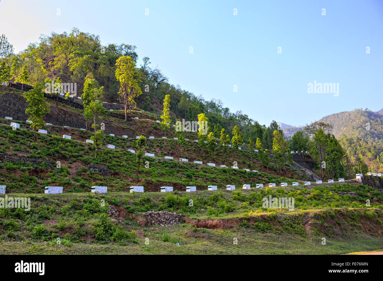 Tribhuvan road hires stock photography and images Alamy