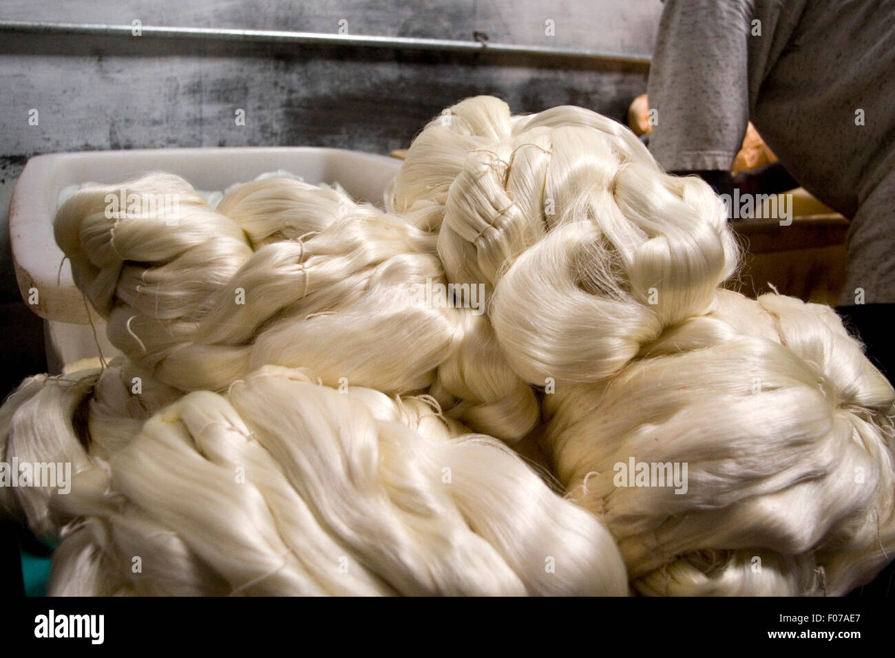 Raw silk is bundled and washed by hand at the state run silk factory in Mysore. Sericure - silk production - has been practiced in Mysore State since Tipu Sultan encouraged it in the late 18th century, with French aid, as a means of growing economically to beat the British. Silk production in modern Karnataka is undergoing something of a renaissance, with increased production figures and increased demand from an increasingly wealthy Indian population. Stock Photo