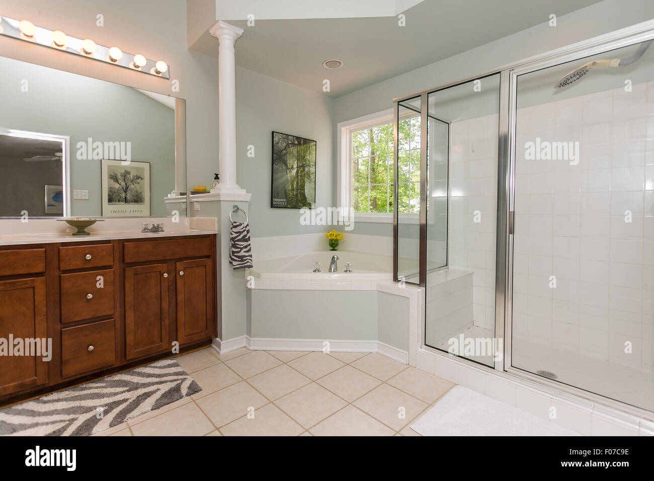 BATHROOM CIRCA 2014. A typical modern bathroom in the United States