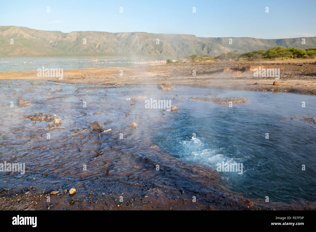 Hot springs at Lake Bogoria in Kenya with flamingos in the background. Stock Photo