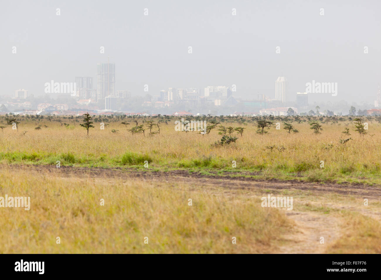 Landscape in Nairobi National Park in Kenya with the skyline in the background. Stock Photo