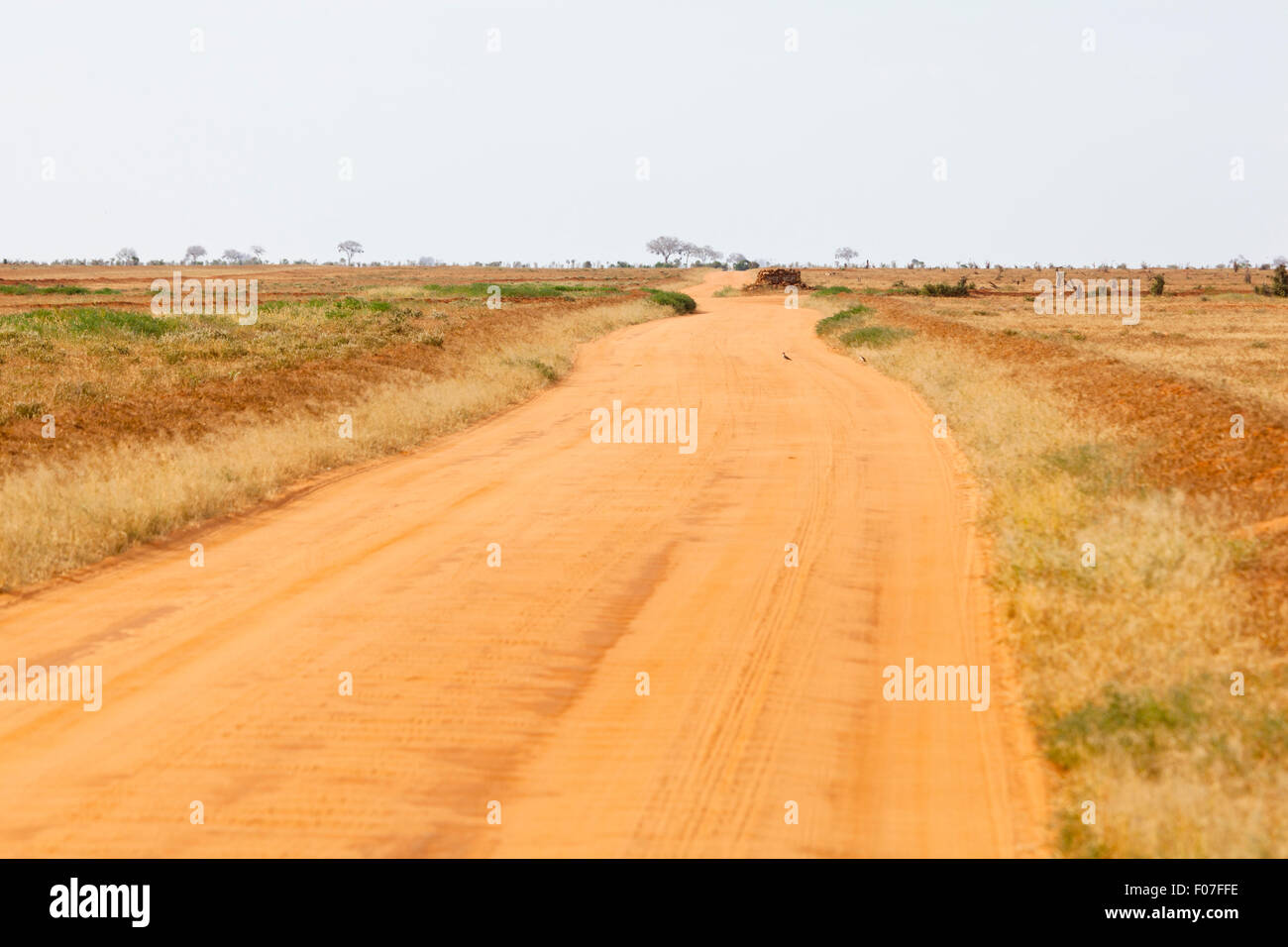 Landscape in Tsavo East National Park in Kenya. Stock Photo