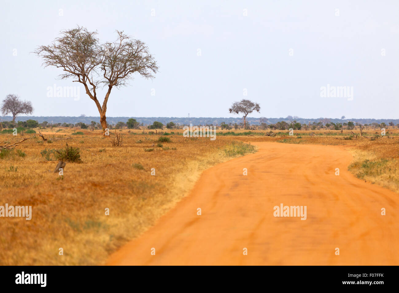 Landscape in Tsavo East National Park in Kenya. Stock Photo