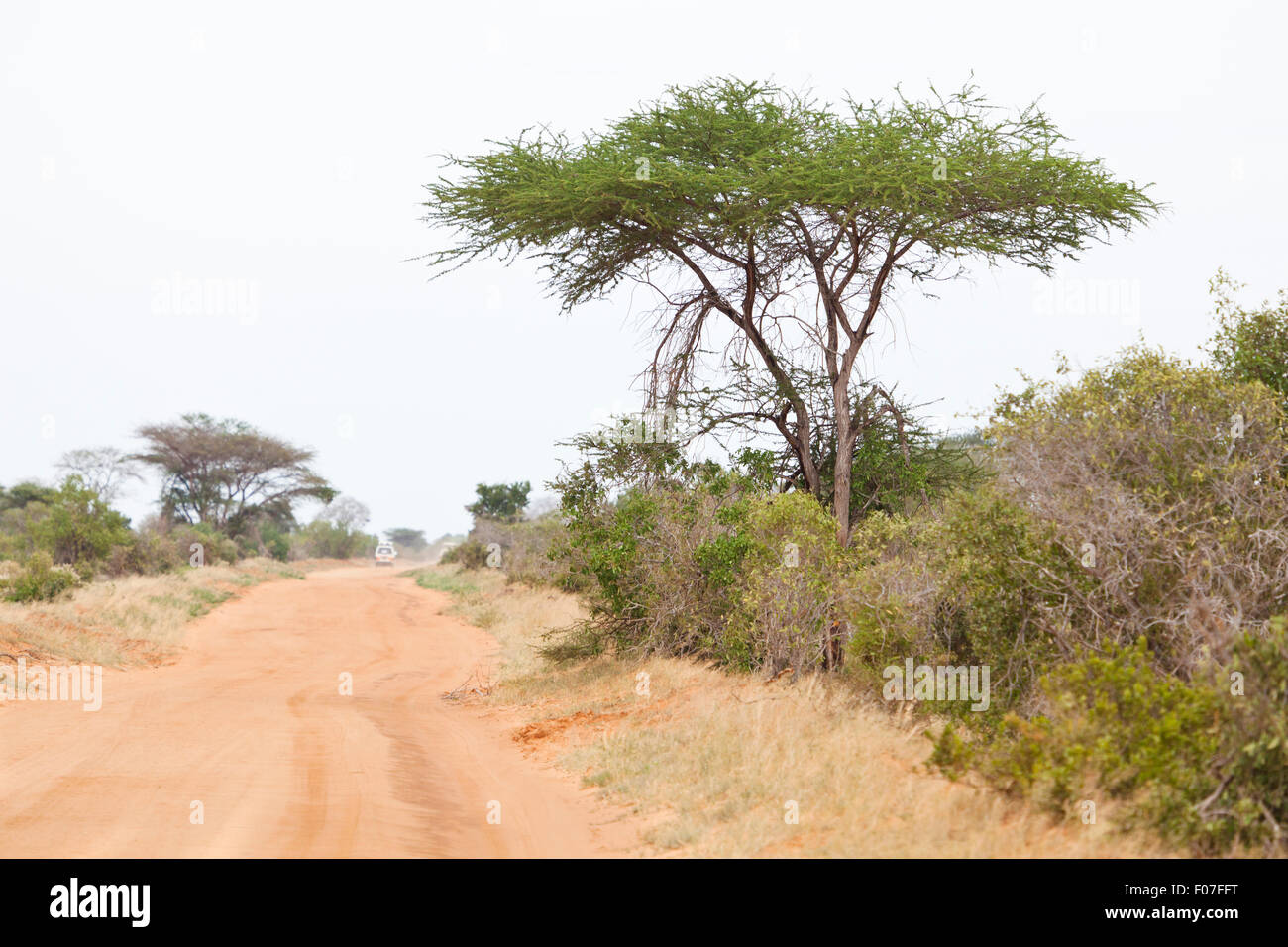 Landscape in Tsavo East National Park in Kenya. Stock Photo