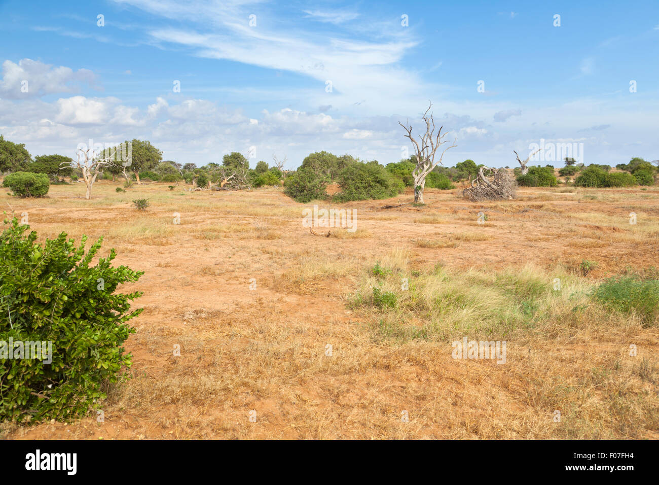 Dry savanna landscape in Tsavo East National Park in Kenya. Stock Photo