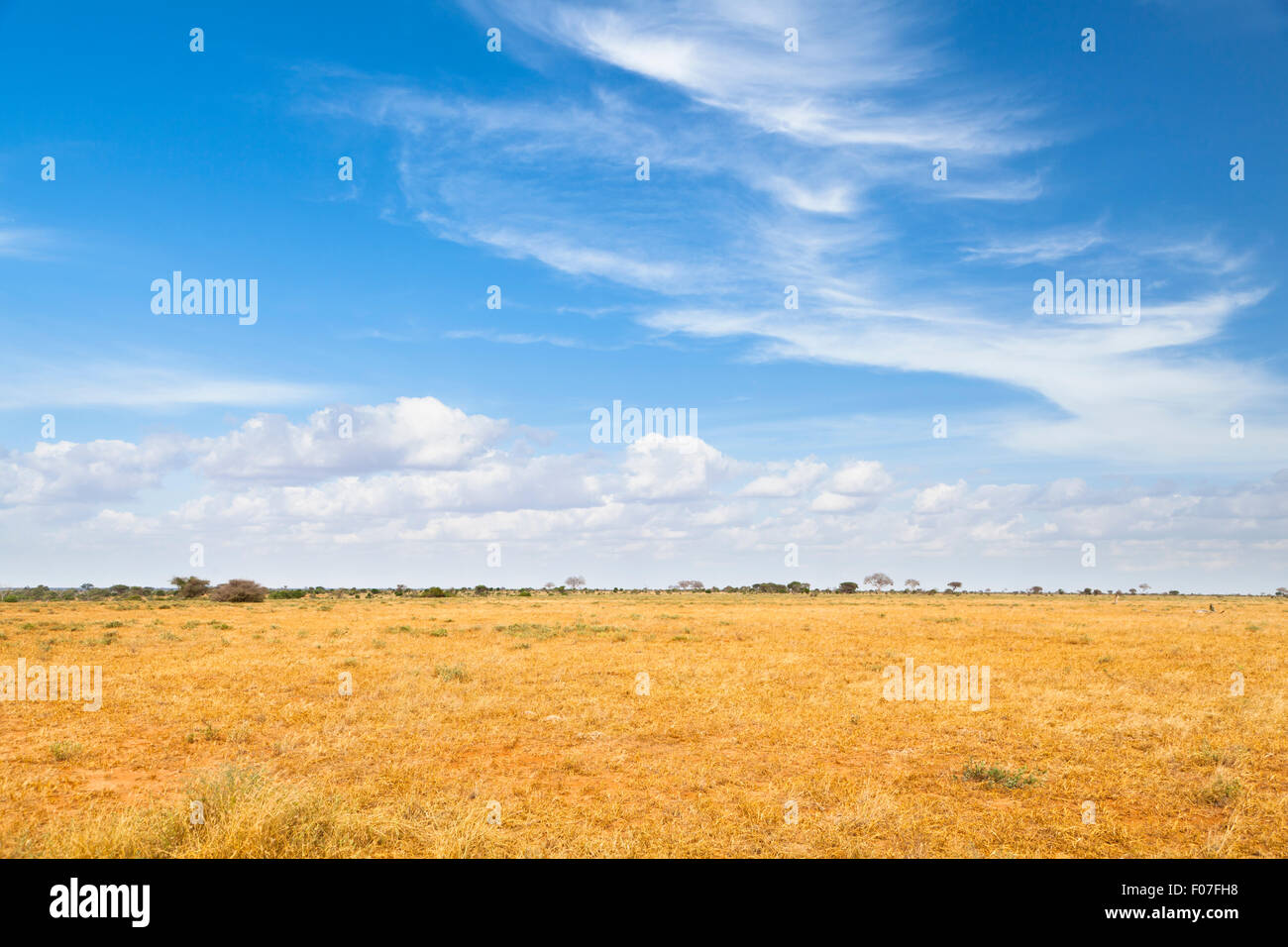 Dry savanna landscape in Tsavo East National Park in Kenya. Stock Photo