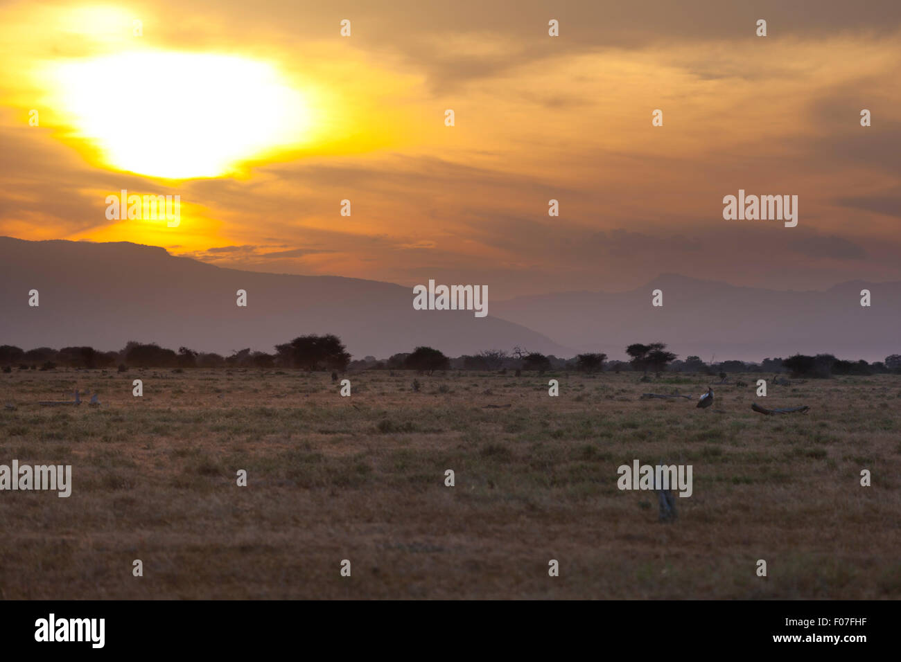 Sunset and landscape in Tsavo East National Park in Kenya with a safari car passing. Stock Photo