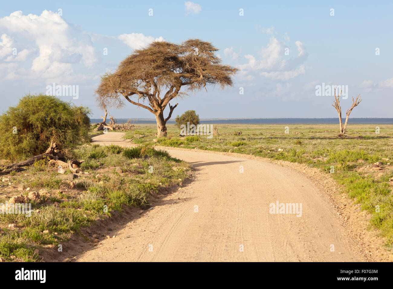 Landscape in Amboseli National Park in Kenya. Stock Photo