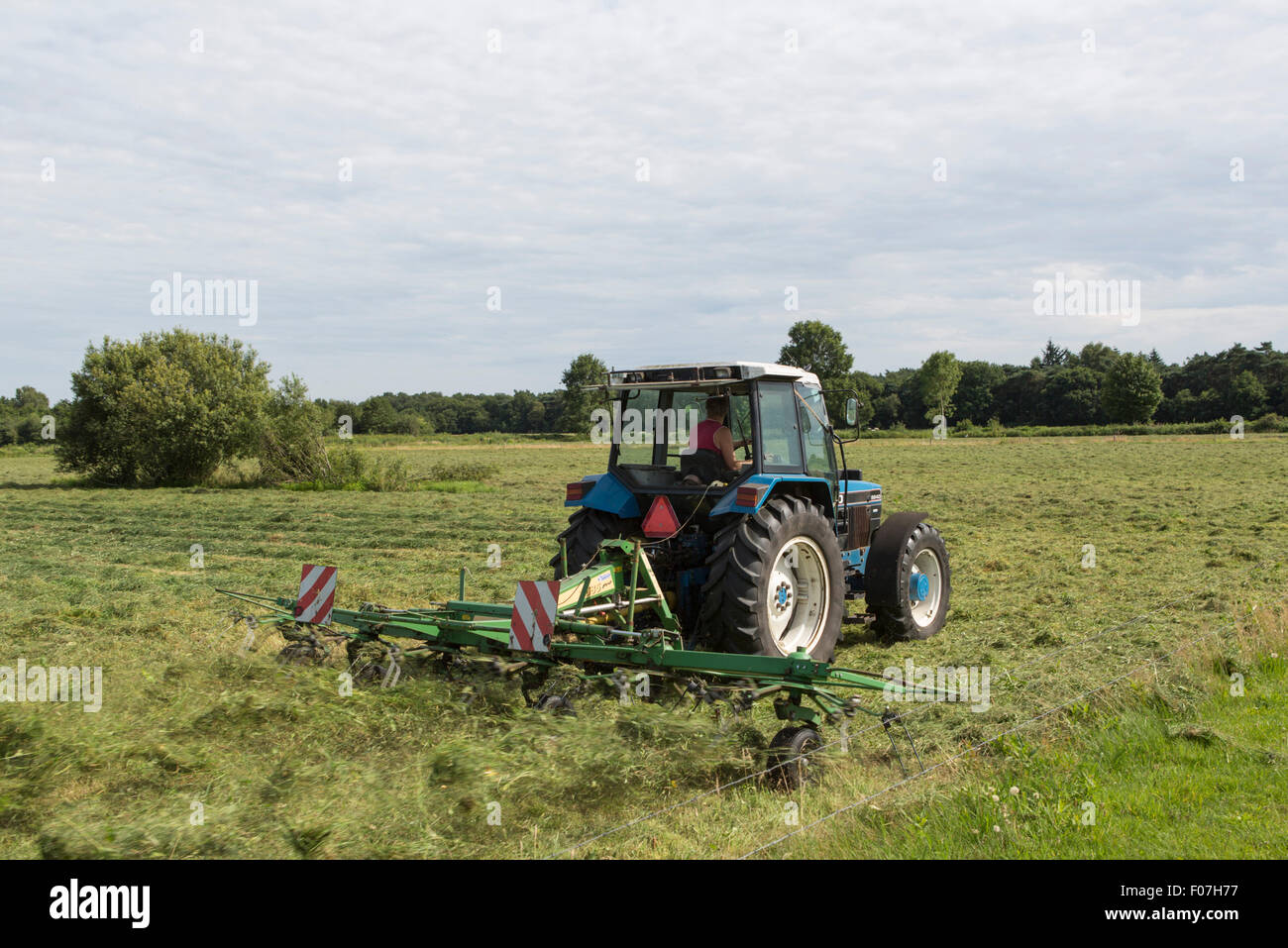 Tractor raking and haying a meadow in Balkbrug, the Netherlands, Europe Stock Photo