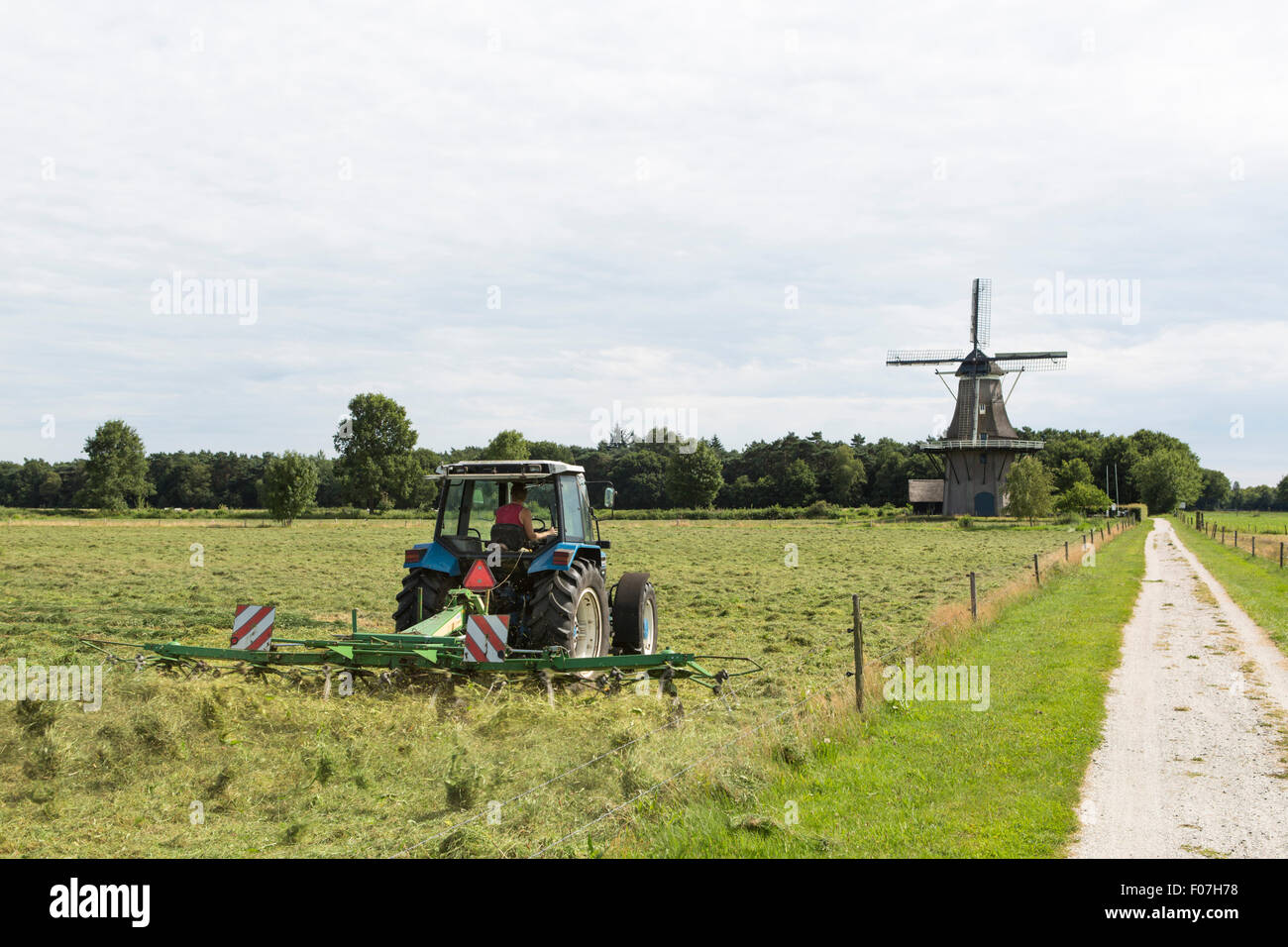 Tractor haying a meadow in front of windmill 'de Star' in Balkbrug, Overijssel, the Netherlands, Europe Stock Photo