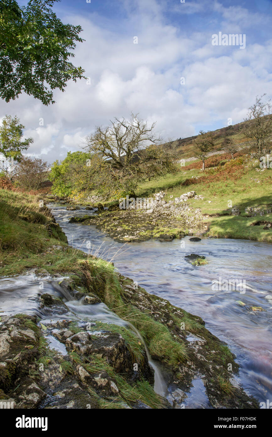Autumn on the River Wharf, Upper Wharfdale, Yorkshire Dales National Park Stock Photo