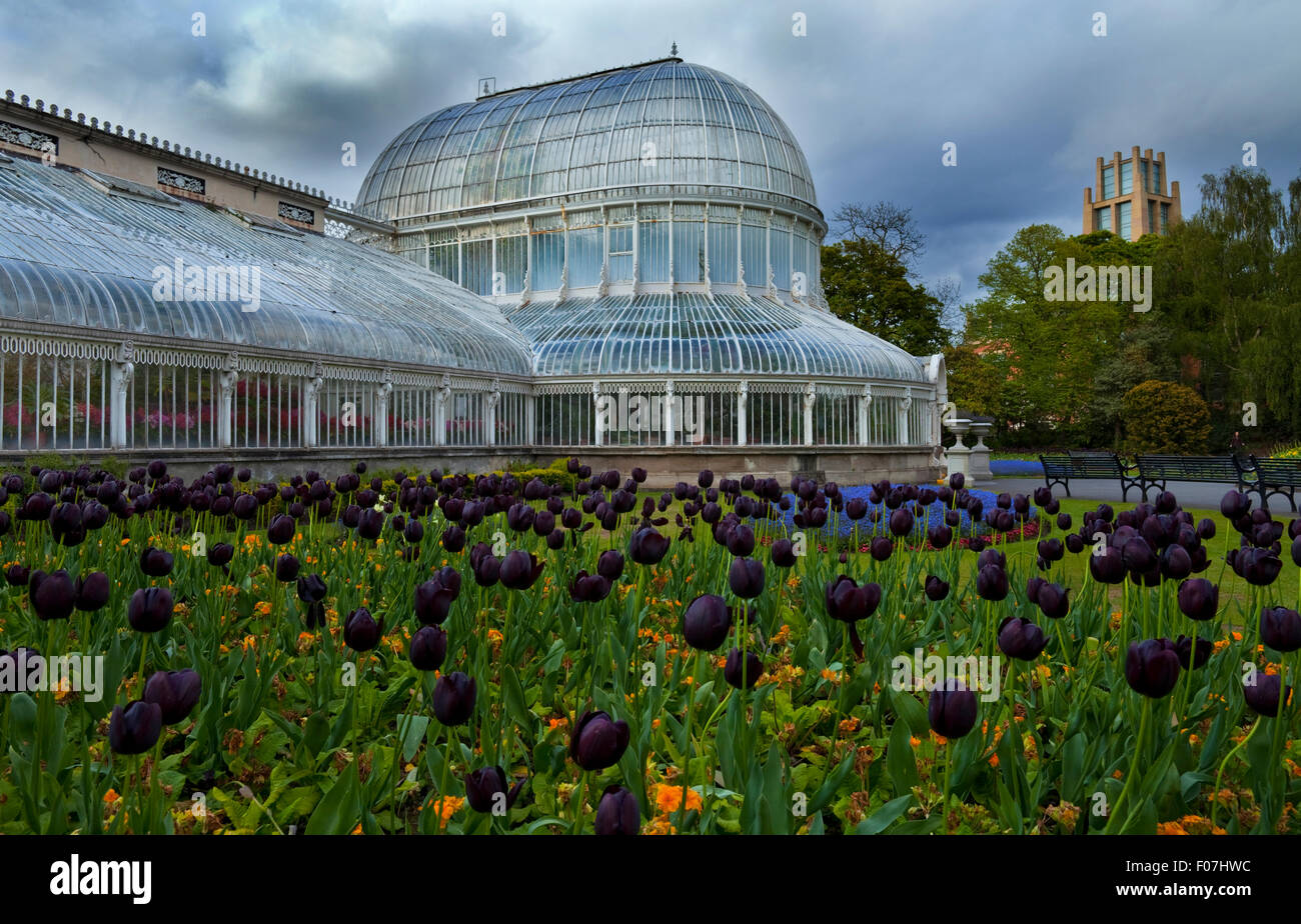 Palm House designed by Charles Lanyon and built by Richard Turner in 1840, Botanic Gardens, Belfast City, Northern Ireland Stock Photo