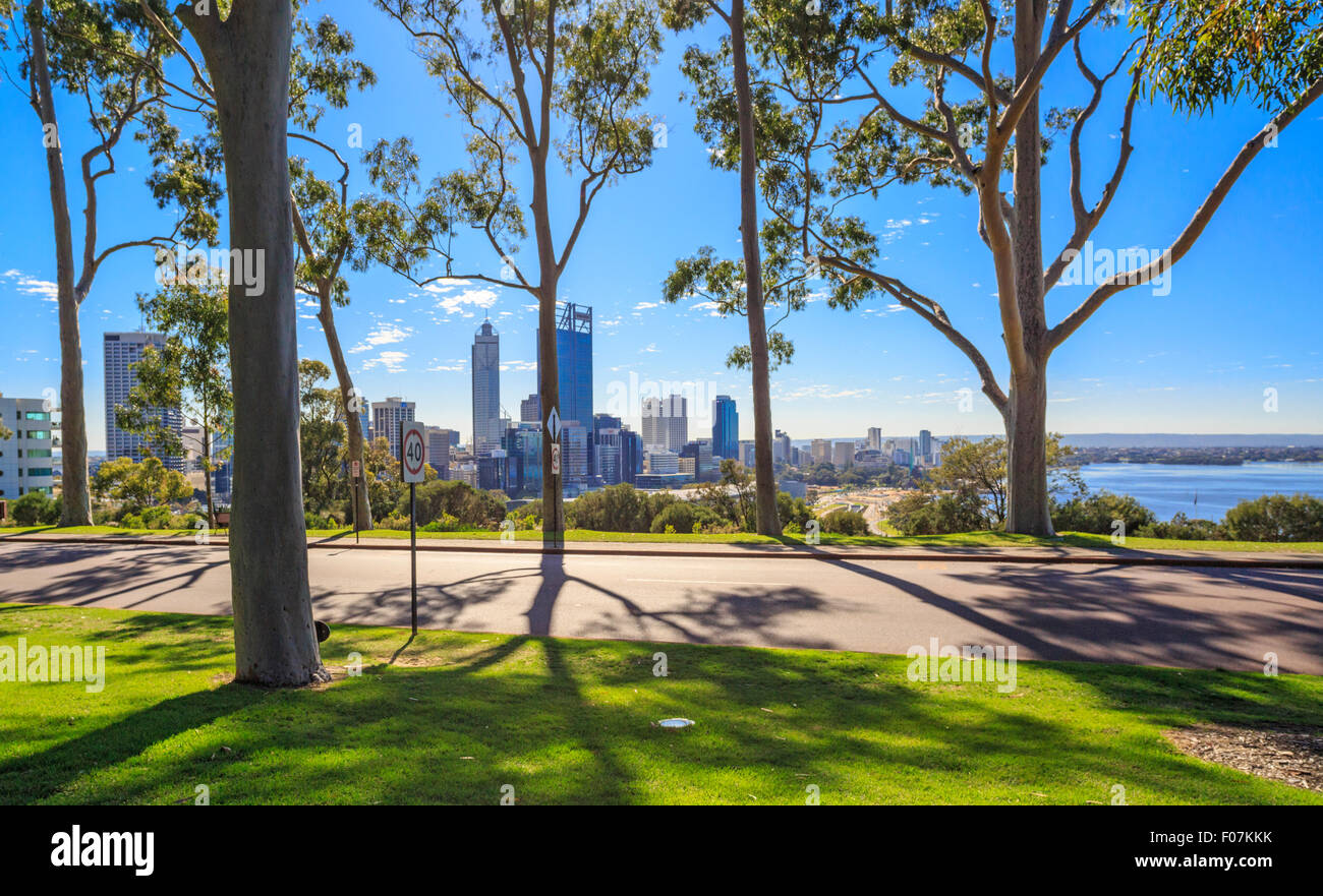 Kings Park, with lemon scented gum trees lining Fraser Avenue with Perth city in the distance. Stock Photo