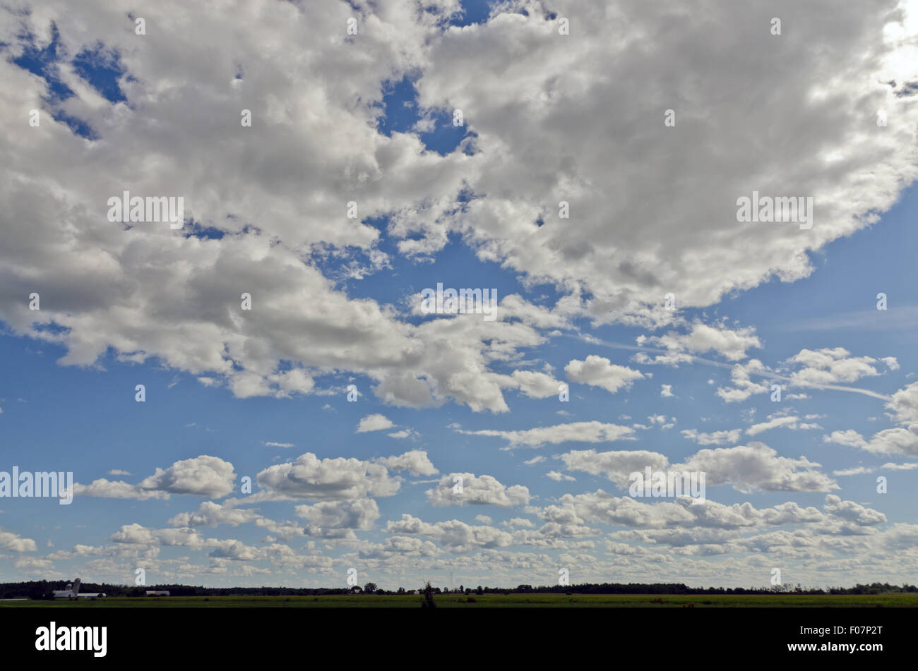 Sunlit whine clouds on blu sky. Stock Photo