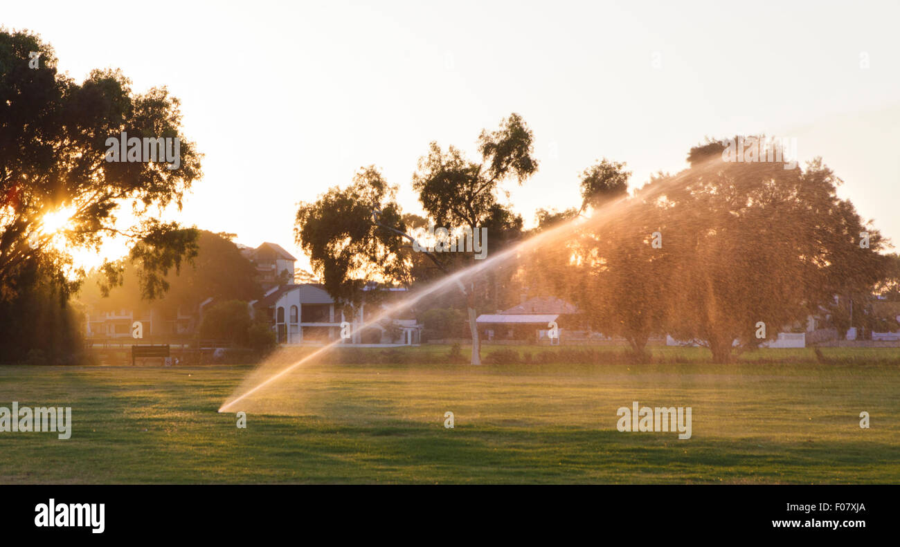 Sprinklers watering a park early on the morning on a summer day in Perth, Western Australia