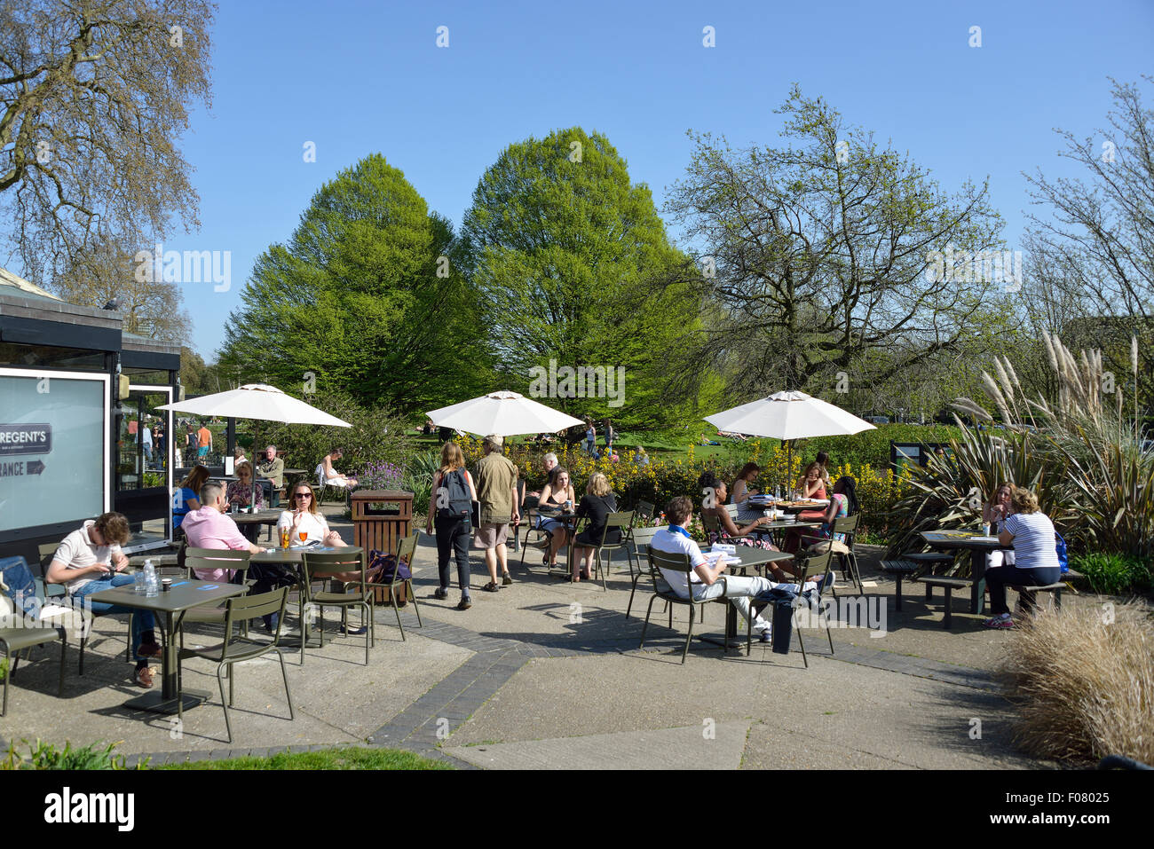 Terrace at The Regent's Bar & Kitchen, Regent's Park, London Borough of