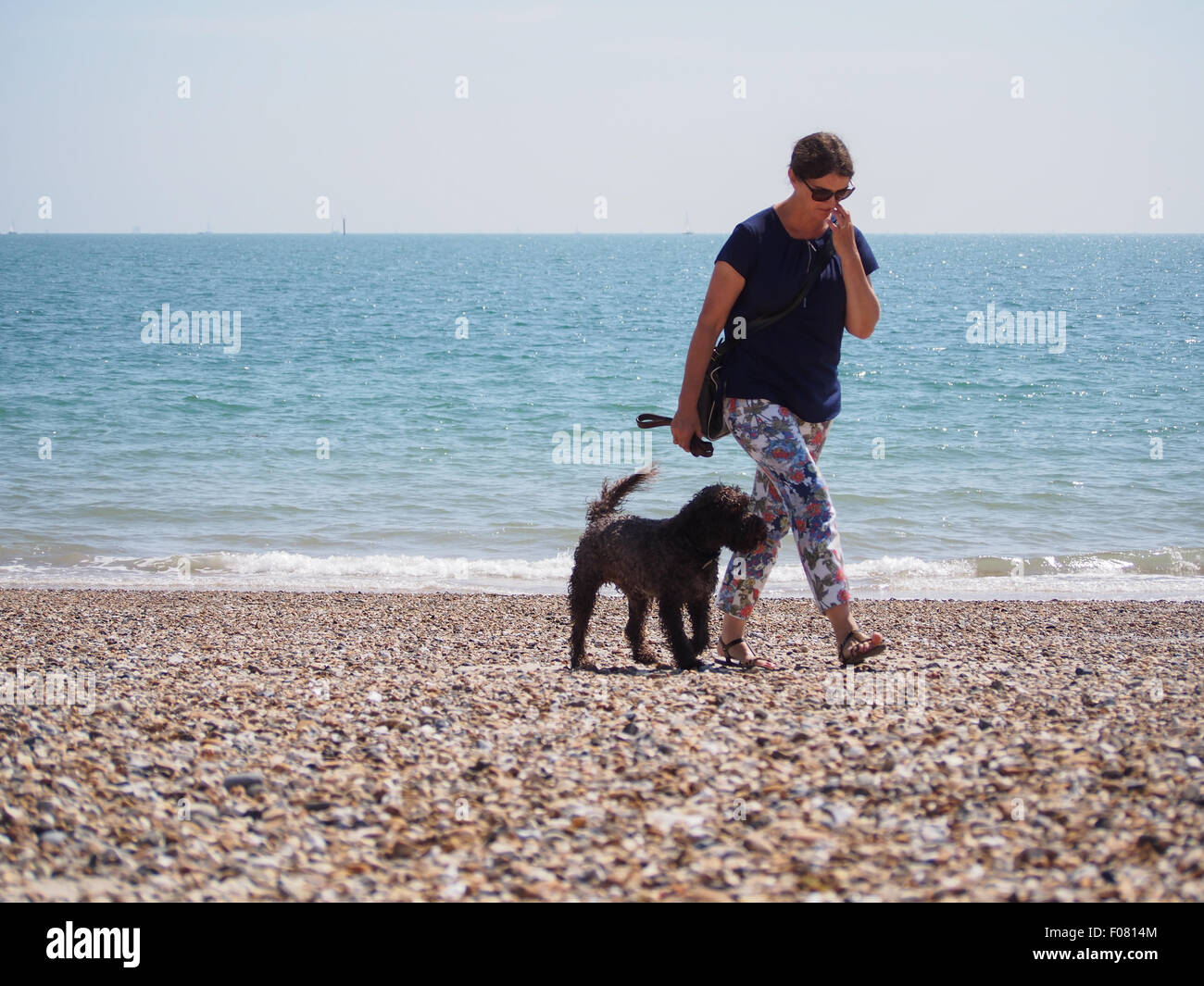 Can Dogs Walk On Hot Sand