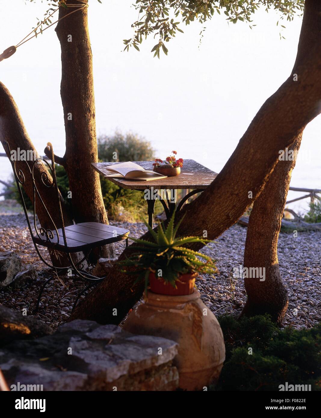 Laid table and chair under tree overlooking sea in evening Stock Photo