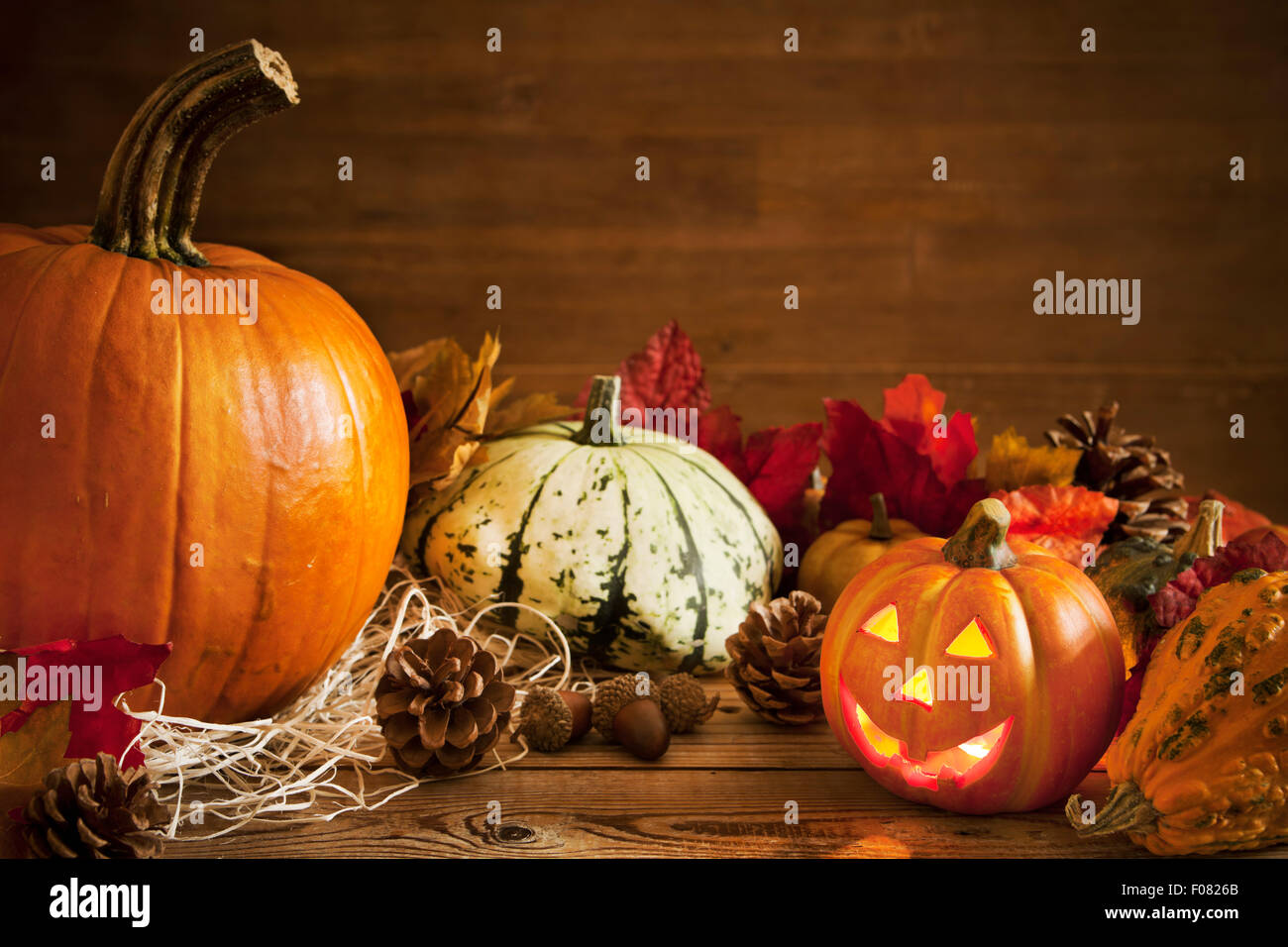 A rustic autumn still life with pumpkins and a Jack O'Lantern on a ...