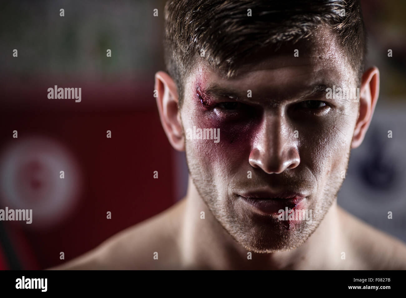 boxer face