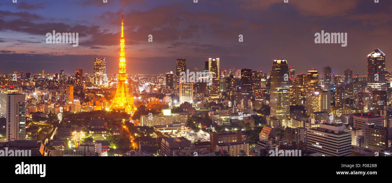Panorama of the skyline of Tokyo, Japan with the Tokyo Tower photographed at dusk. Stock Photo