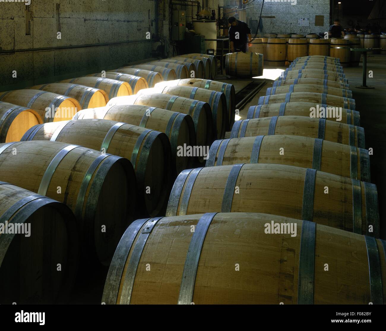 Wine barrels in a row Stock Photo - Alamy