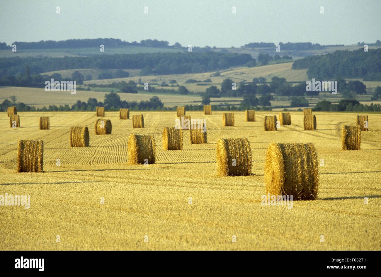 Bales of straw in field scenery hi-res stock photography and images - Alamy