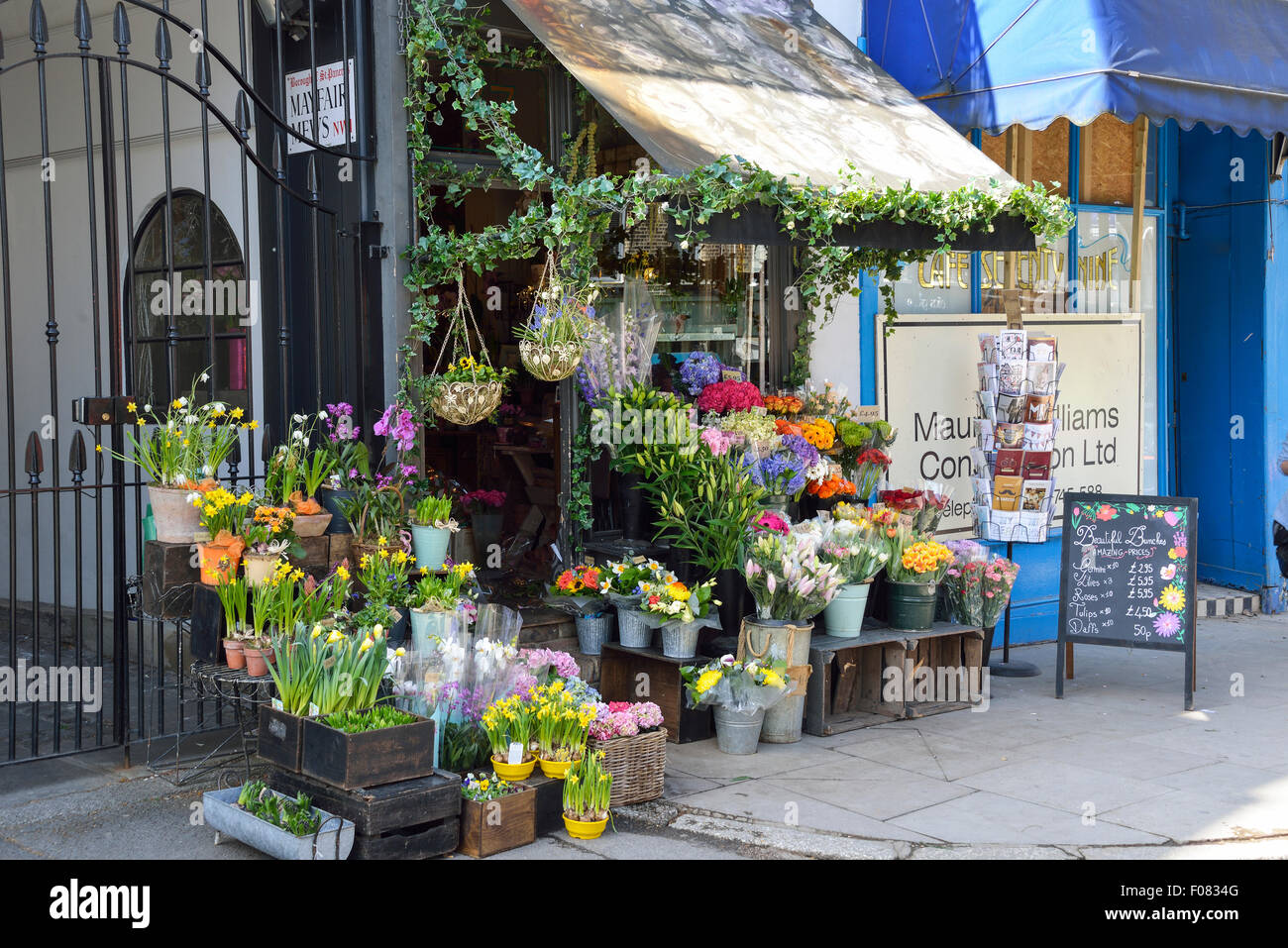 Fitzroy's Florist, Regent's Park Road, Primrose Hill, London Borough of