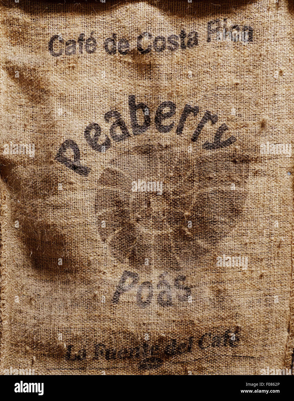 FRESH PEABERRY COFFEE BEANS,COSTA RICA Stock Photo