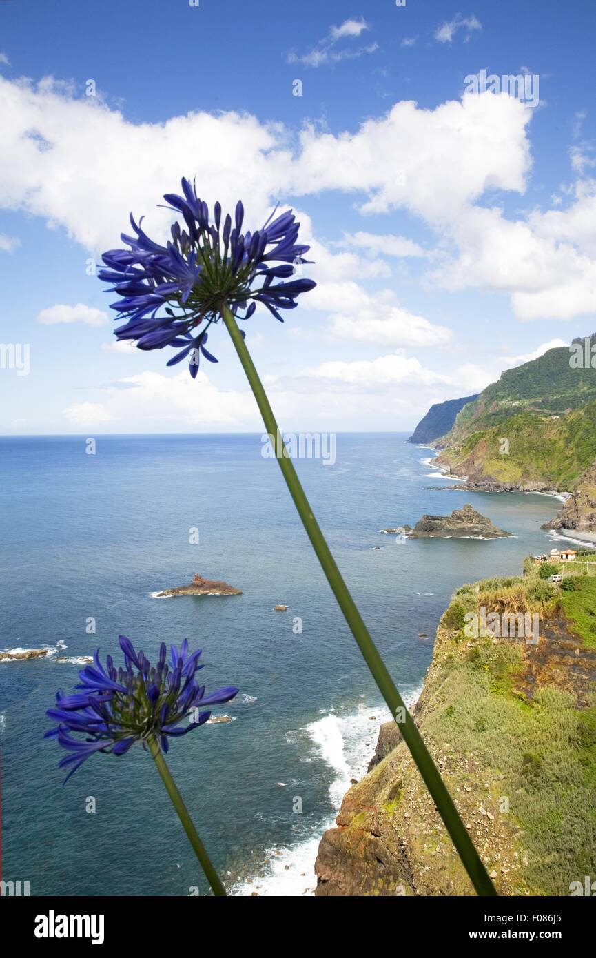 View of coast in Madeira island, Funchal, Portugal Stock Photo